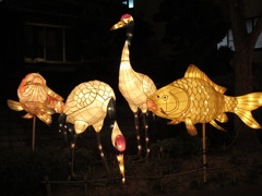 鳥vs魚