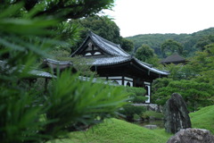 L1062414