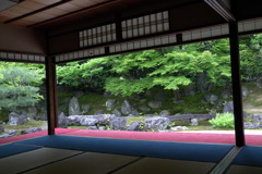 庭