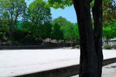 いつもの公園