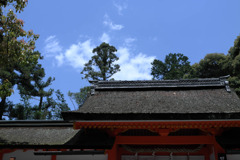 屋根好き。
