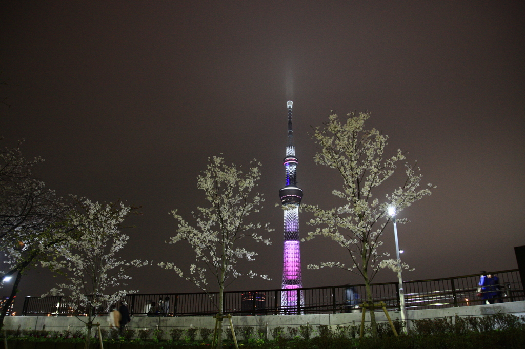 春の夜空へ