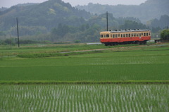 田園を走る