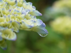 雨の日