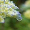 雨の日