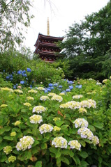 I本土寺