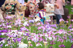 花と華