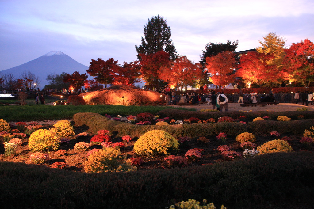 紅葉回廊と富士山