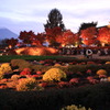 紅葉回廊と富士山