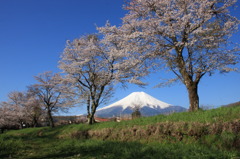 春の富士