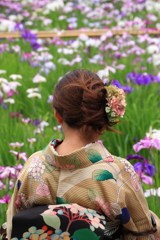 本土寺のひと