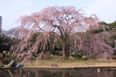 今年も会えたね...