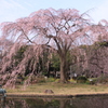 今年も会えたね...