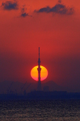 スカイツリー夕景