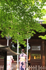 本土寺