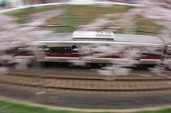 お花見電車