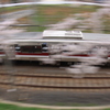 お花見電車