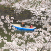 桜船
