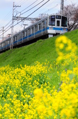 春と電車