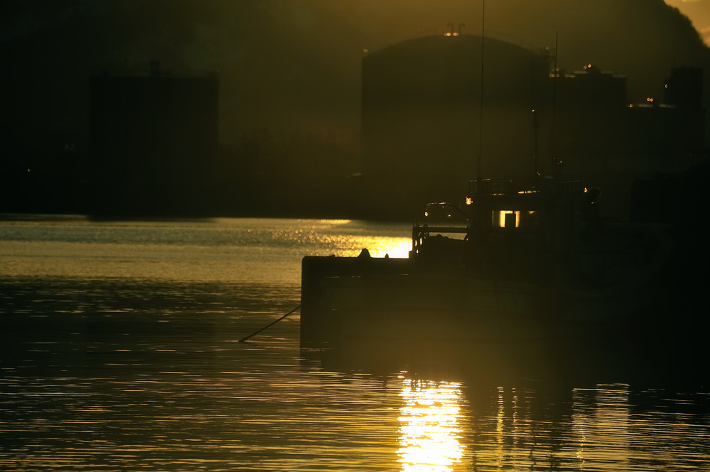 『港夕景』