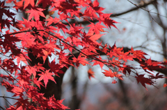 城峯公園