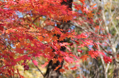 城峯公園