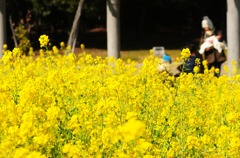 春の香り