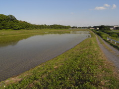 R0012506