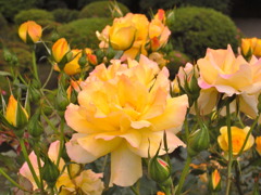 R0012272