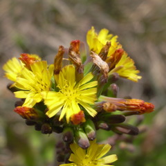 R0010627