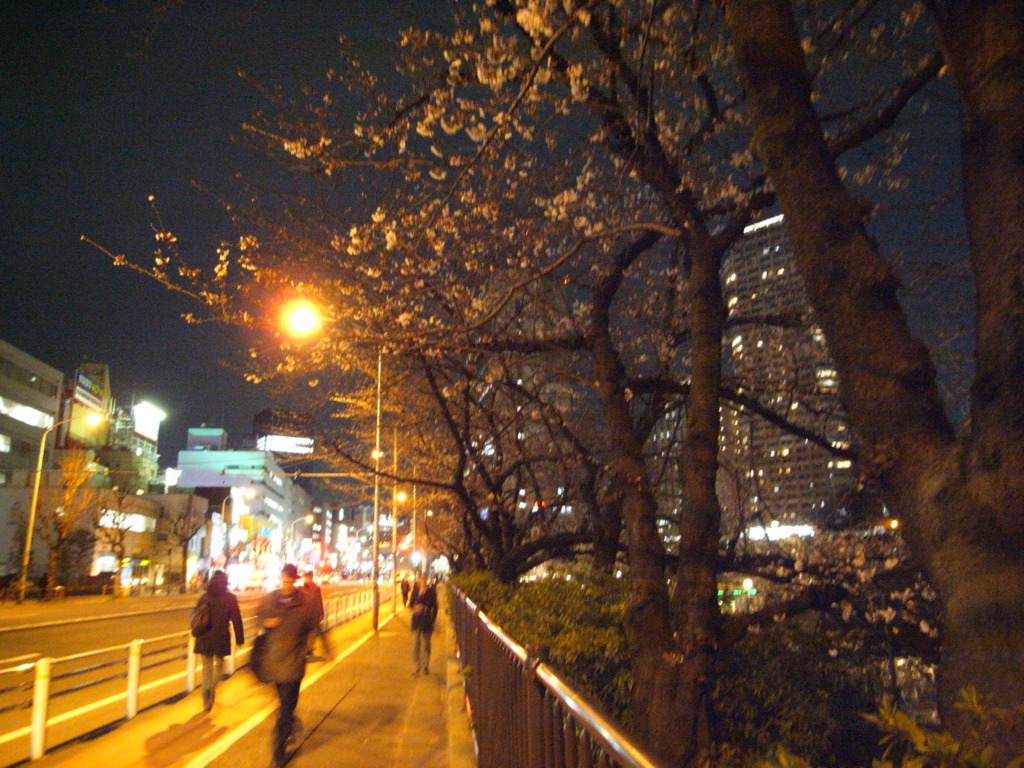 R0011324
