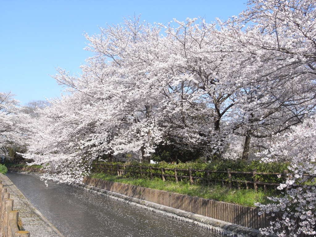 R0011794
