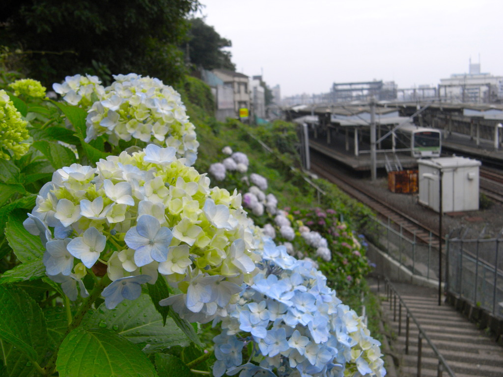 西日暮里駅