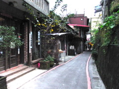 RIMG0317