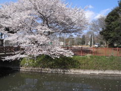 R0011716