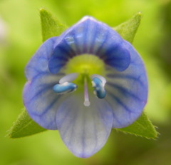 R0010182