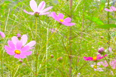 R0010818