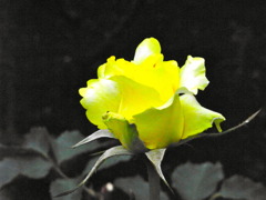 RIMG0049