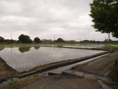 R0012311