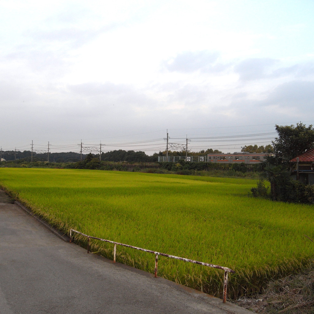 R0010842