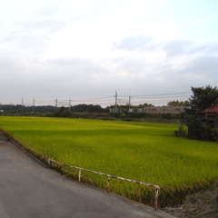 R0010842