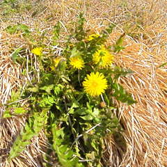 R0010601