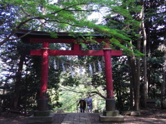 RIMG0015