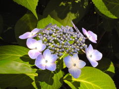 R0012572