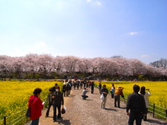 らき☆すた　ゆかりの地