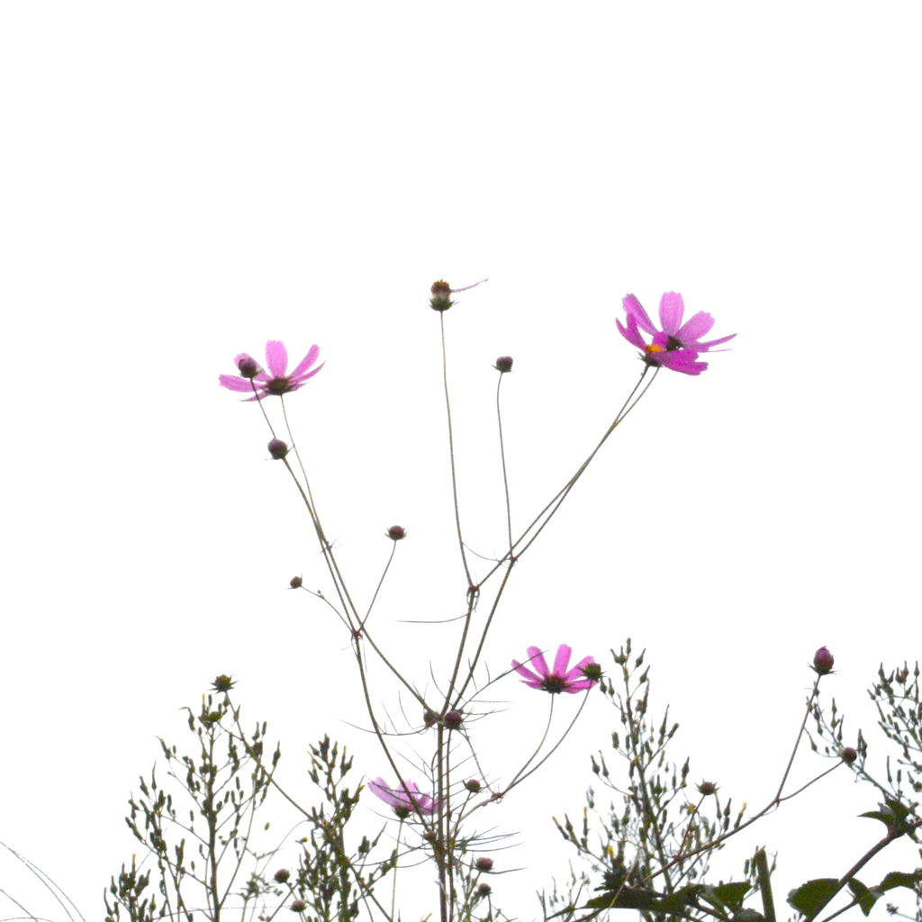 R0010819