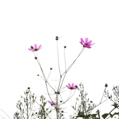 R0010819