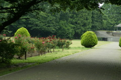 DSC07606