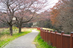 DSC04824