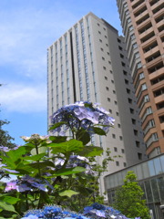 R0012604